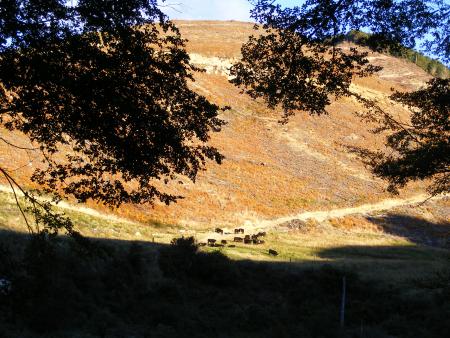 Elle est pas belle cette photo....