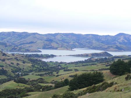 peninsule de Christchurch