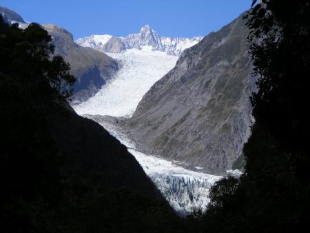 fox glacier